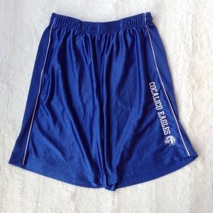 4 for $20 Men's Blue Basketball Shorts